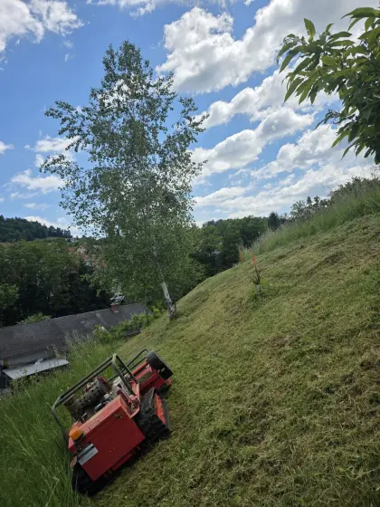 Mähraupe, Mulcher, Mäher, ferngesteuert