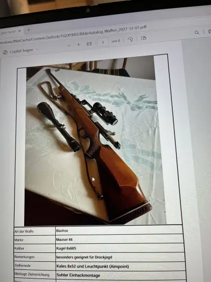 Büchse Mauser 66, Kugel 8x68S, Leuchtpunkt