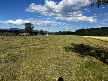Mähflächen zu vergeben