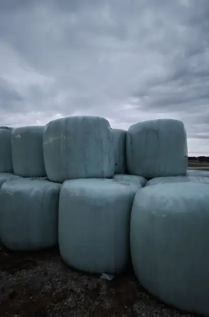 Silageballen
