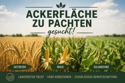 Ackerfläche zu pachten gesucht
