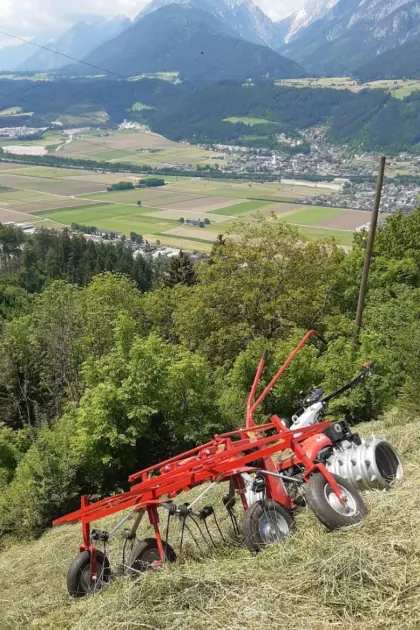 Molon 2-Stern-Kreisler für Motormäher