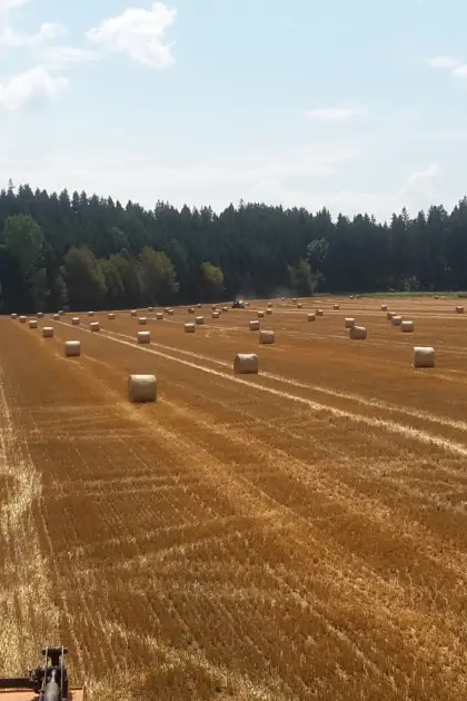 Stroh ab Feld