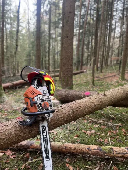 Dienstleistungen rund ums Holz