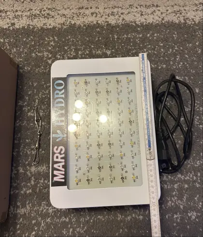LED-Licht