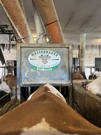 Wasserbauer CowMaster Transponder-Futterstation zu verkaufen