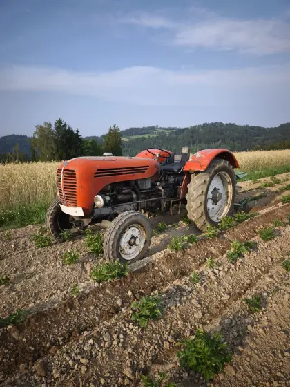 Steyr 290