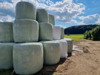 Siloballen zu verkaufen