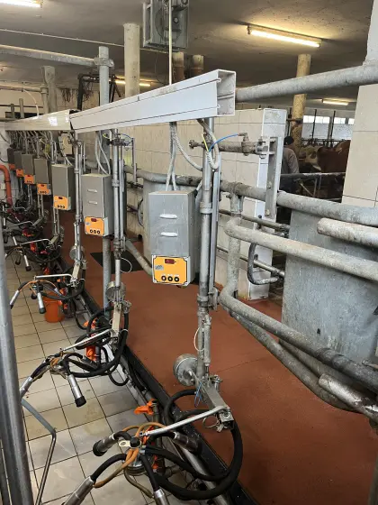 7er-Fischgrätenmelkstand inkl. Reinigung zu verkaufen