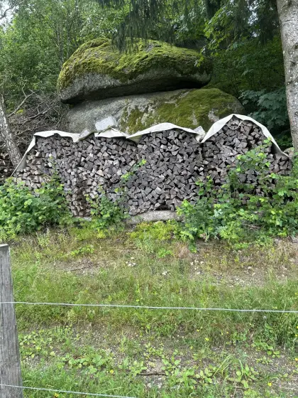 Brennholz