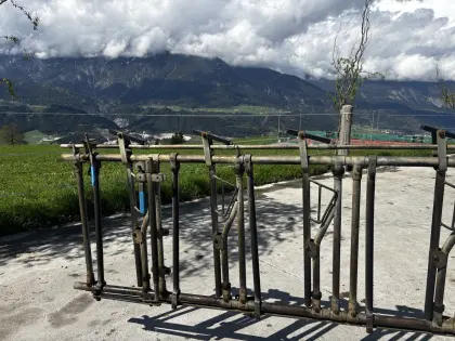 FELDER Selbstfangfressgitter 1