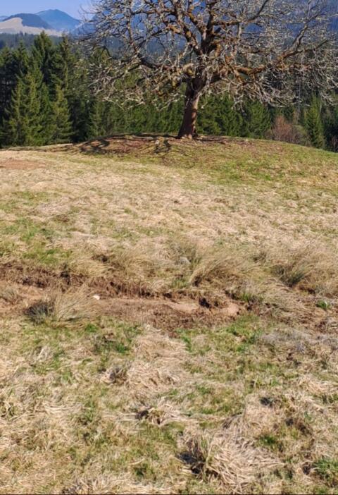 Selbstversorger-Pferdestall für 3 bis 5 Pferde