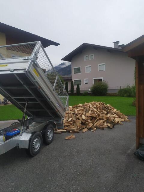 Brennholz