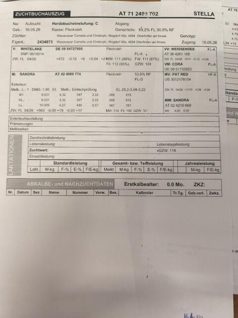 Verkaufe FL/RF Kälber mit Milchleistung