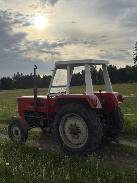 Steyr 545