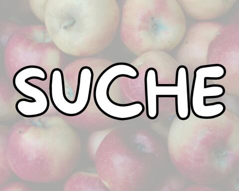 Suche Bio-Äpfel oder Streuobst, vorw. alte Sorten
