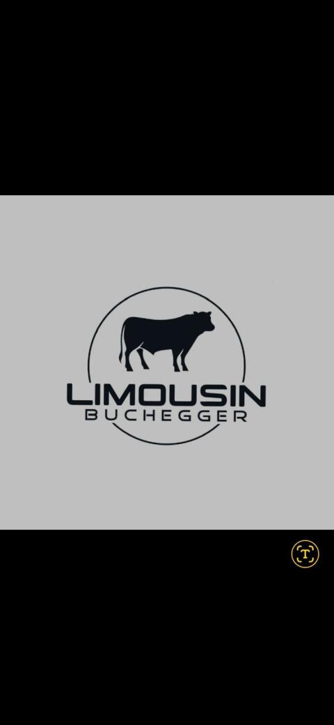 Limousinstiere