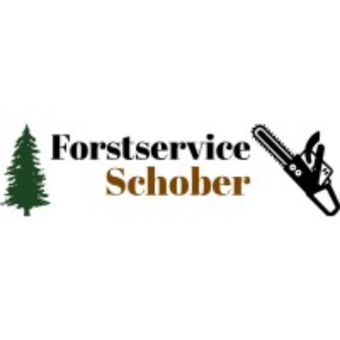 Holzschlägerung, Bagger- und Mulcharbeiten
