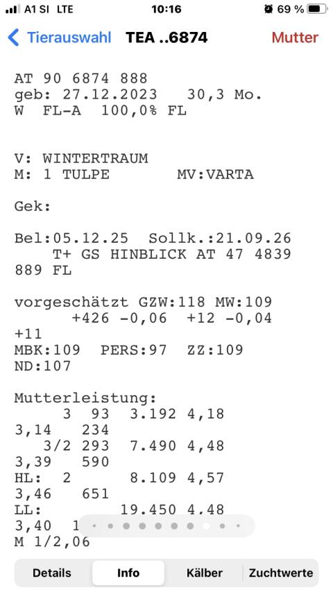 Bio-Zuchtkalbin