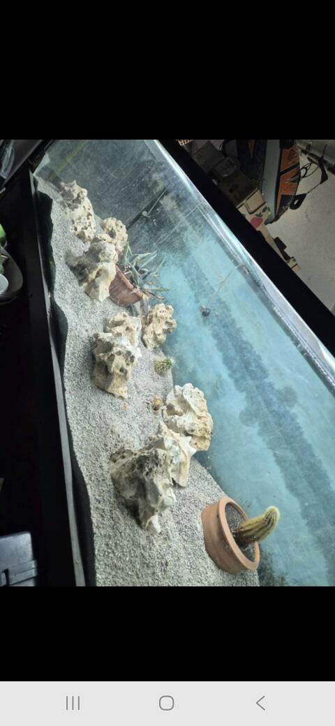 Aquarium