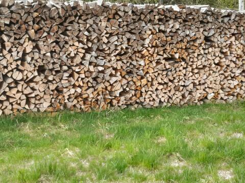Brennholz hart