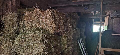Kleinballen zu verkaufen