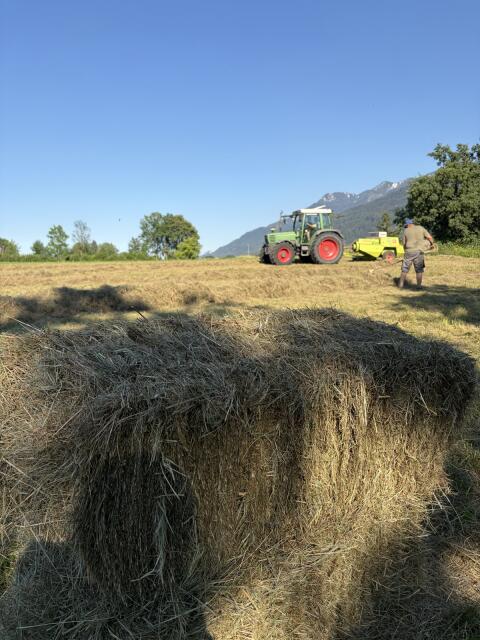 Heuballen