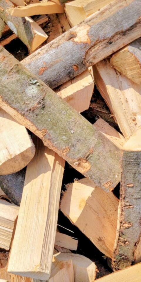Brennholz Buche, trocken
