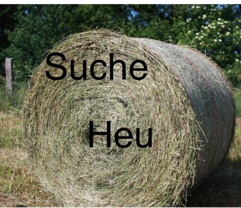 Suche Heu