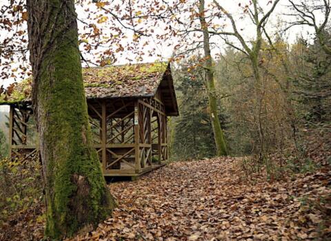 Suche Hütte mit Grund