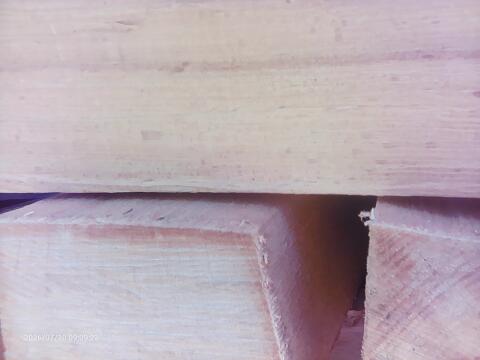 Brennholz hart oder weich