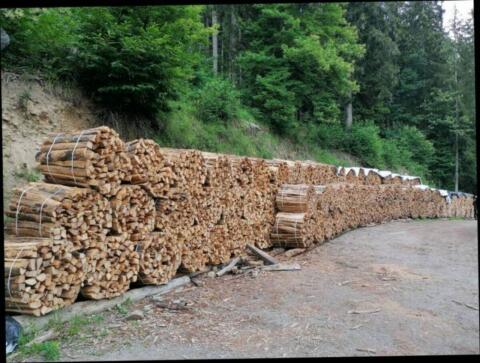Brennholz