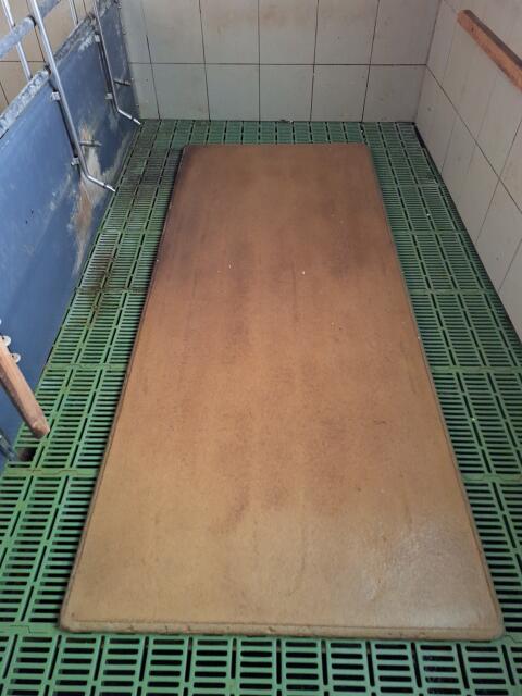 Heizplatten für Ferkelaufzucht