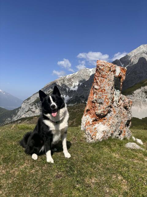 Tiroler Bergspitz gesucht!