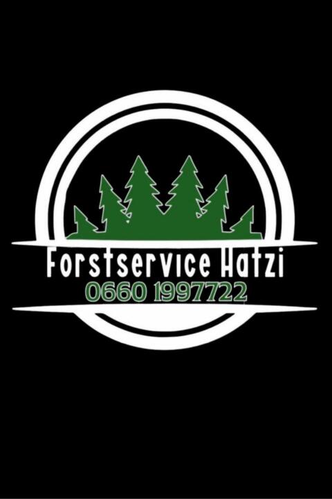 Holzschlägerungen, Bringung