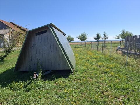 Mobiler Hühnerstall