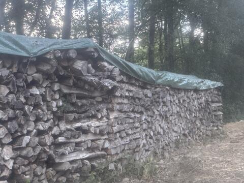 Trockenes Fichten-Brennholz (Weichholz), Selbstabholung