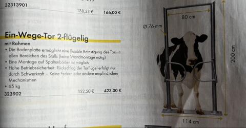 Ein Wege-Tor