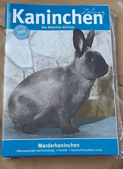 Fachzeitschriften