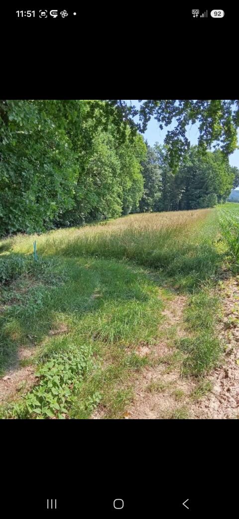 Heu in Kleinballen