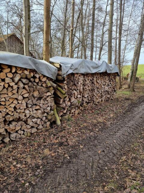 Brennholz