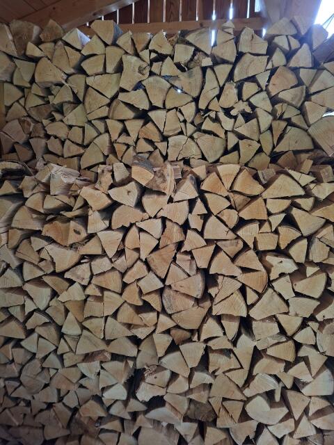 Brennholz Buche