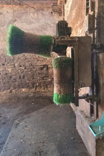 Kühbürste, Massagebürste Tierwohl