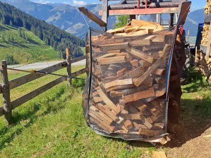 Brennholz
