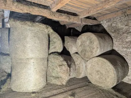Almheuballen zu verkaufen