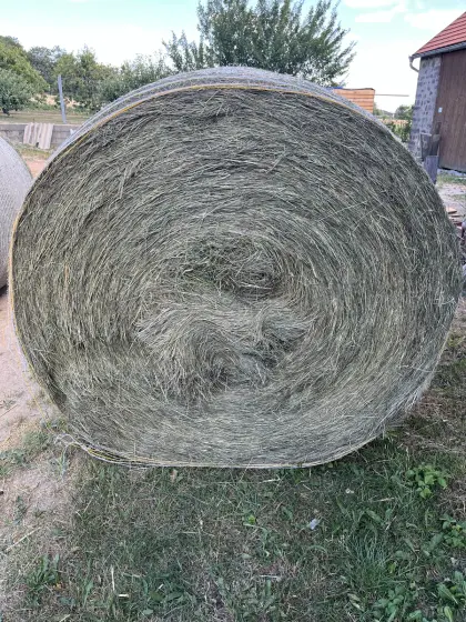 Heu