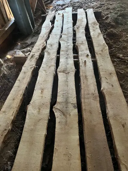 Naturkantenbretter aus Birke, getrocknet, für Tischler