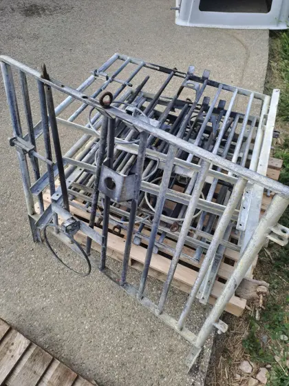 Kälberaufstallung