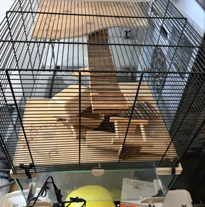 Nagerterrarium mit Gitteraufsatz inkl. Zubehör