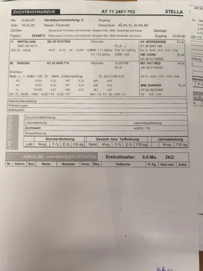 Verkaufe FL/RF Kälber mit Milchleistung